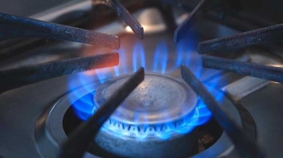 Газовые плиты дошли до Госдумы